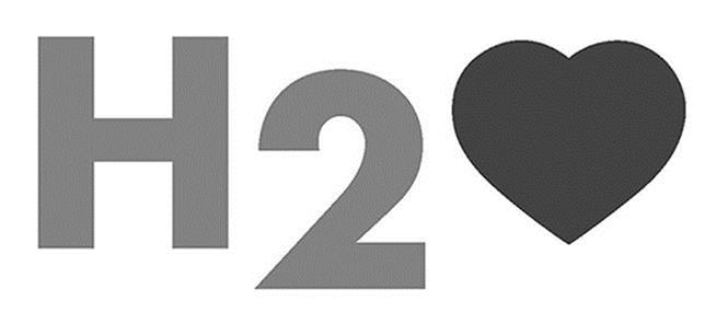 Trademark Logo H2