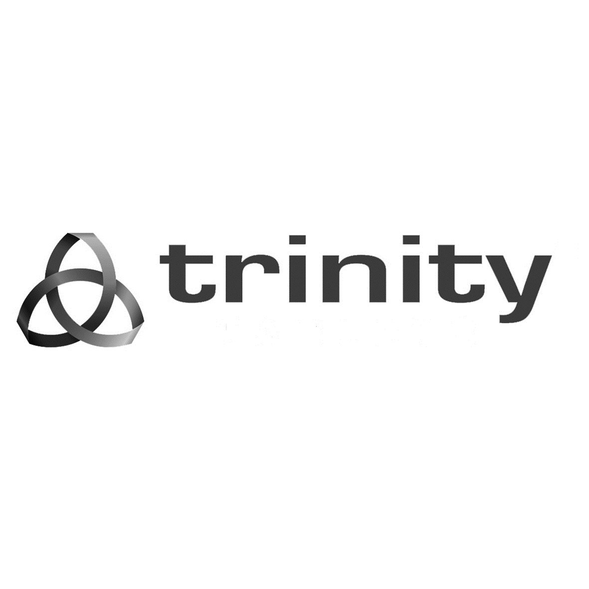 Trademark Logo TRINITY