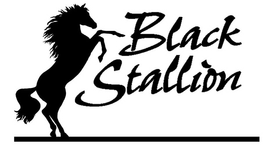 BLACK STALLION