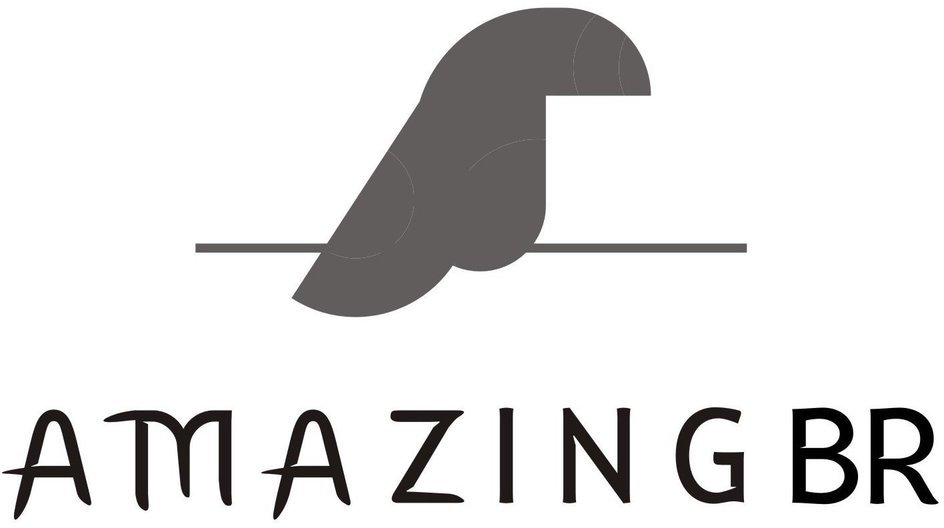 Trademark Logo AMAZING BR