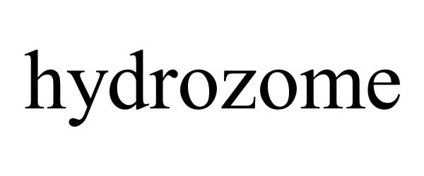 Trademark Logo HYDROZOME
