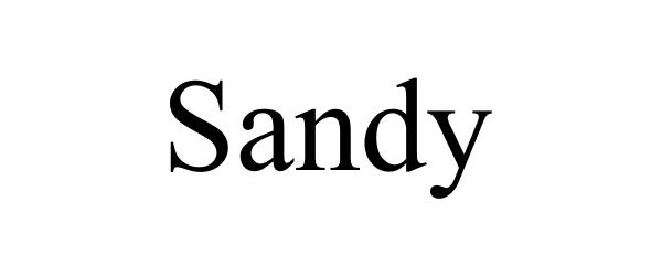 Trademark Logo SANDY