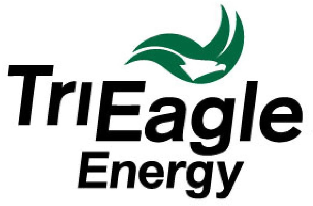  TRI EAGLE ENERGY