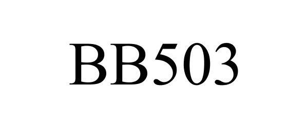  BB503