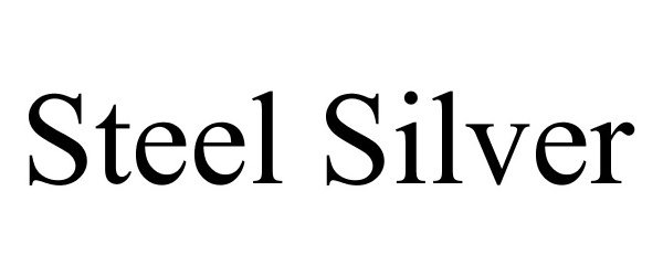 Trademark Logo STEEL SILVER