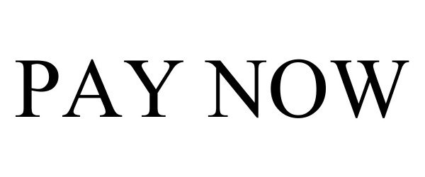 Trademark Logo PAY NOW