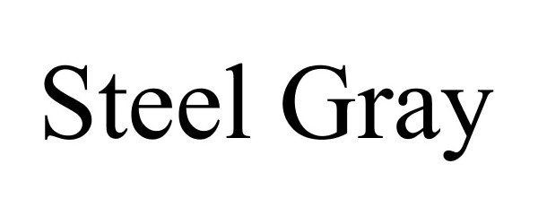 Trademark Logo STEEL GRAY