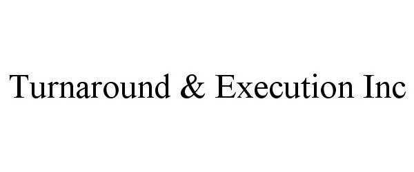  TURNAROUND &amp; EXECUTION INC