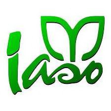 Trademark Logo IASO