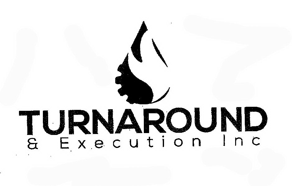  TURNAROUND &amp; EXECUTION INC