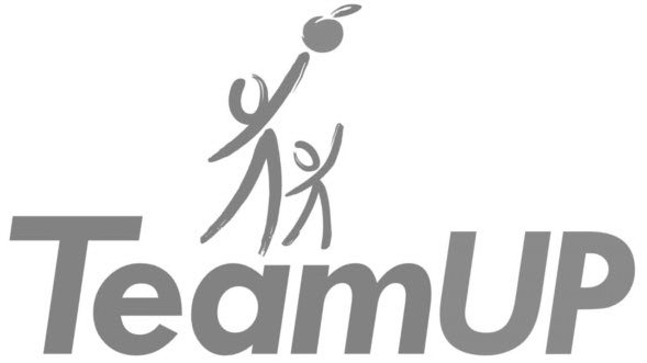  TEAMUP