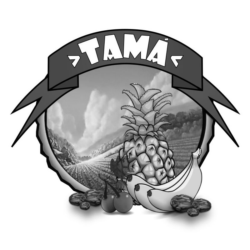 Trademark Logo TAMA