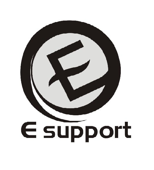 Trademark Logo EE SUPPORT