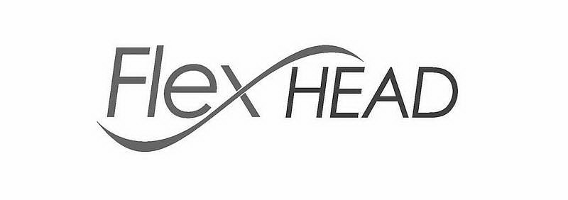 Trademark Logo FLEX HEAD