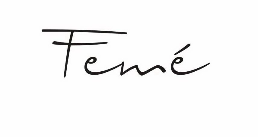 Trademark Logo FEME