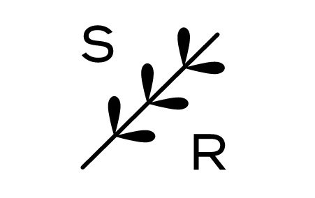 Trademark Logo S R