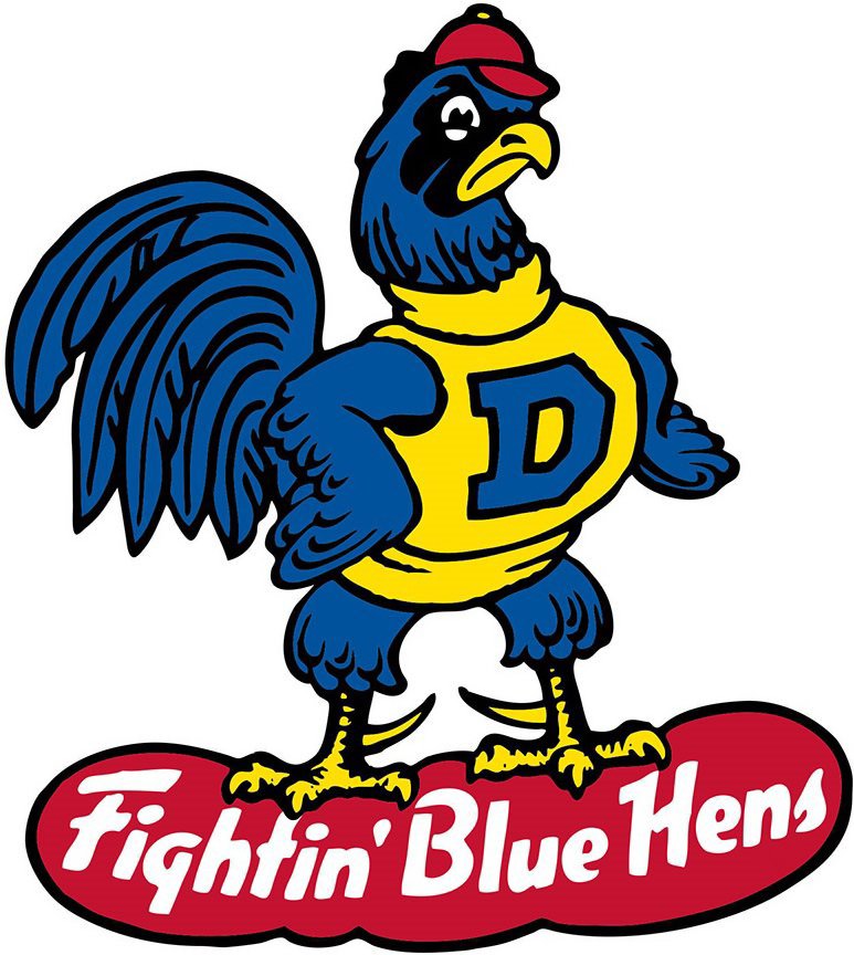  D FIGHTIN' BLUE HENS