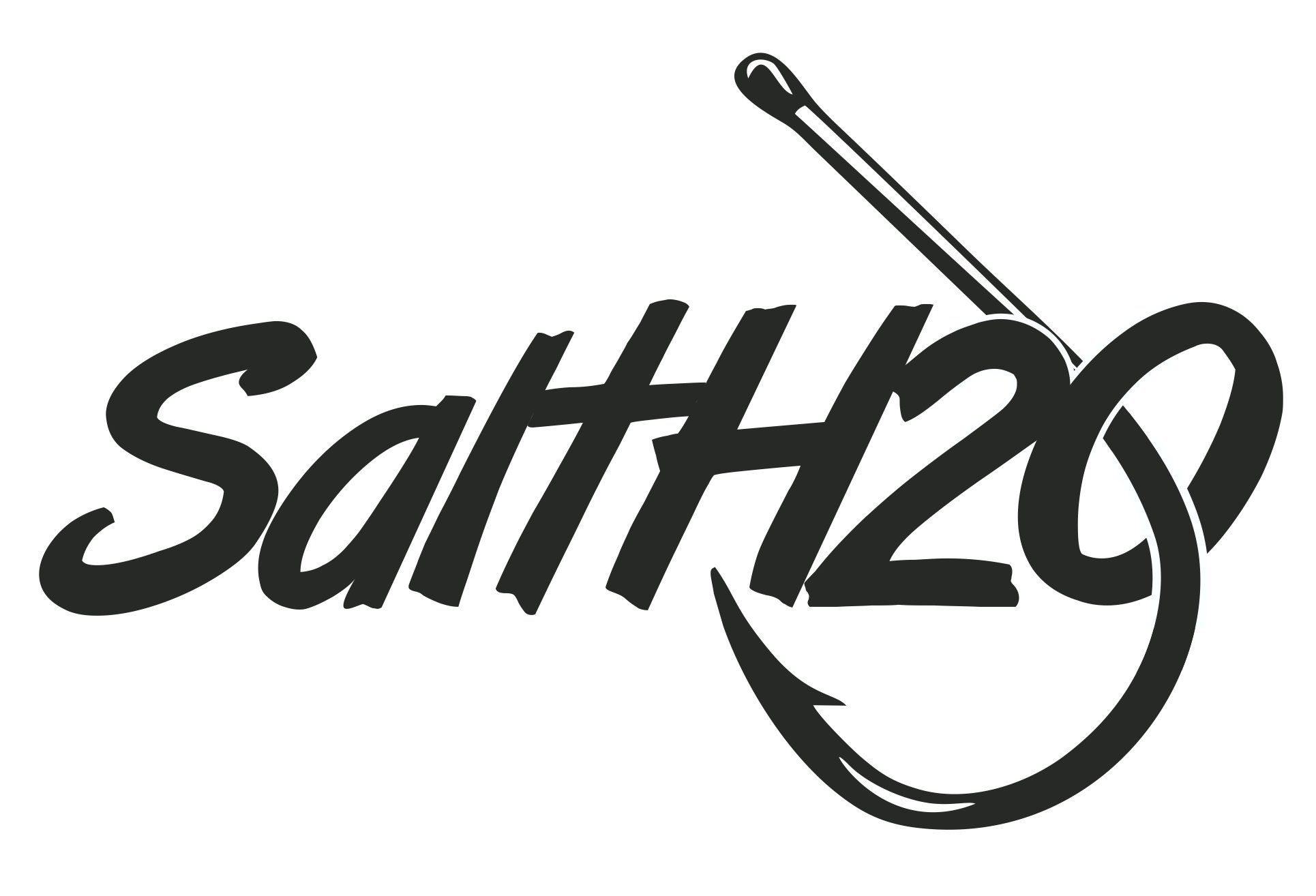  SALTH2O