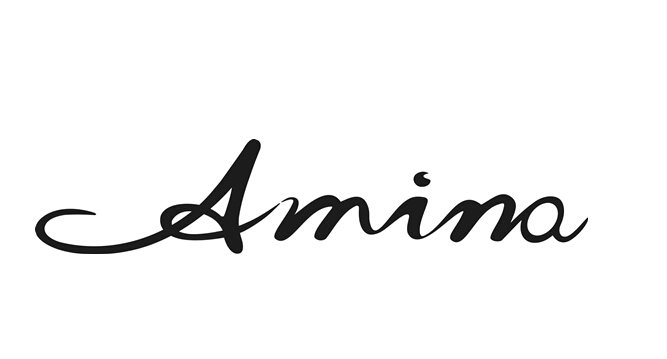 Trademark Logo AMINA