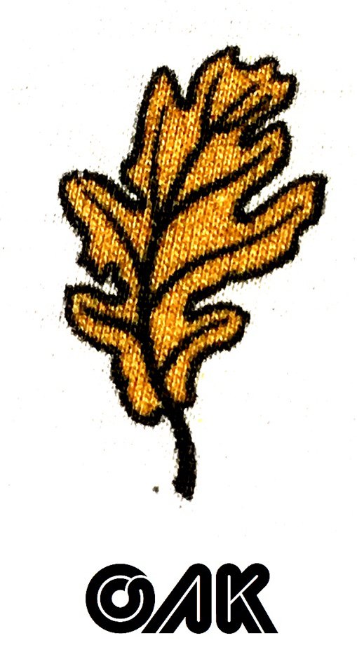 Trademark Logo OAK