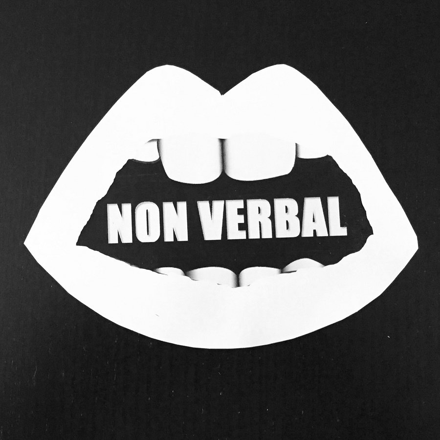  NON VERBAL