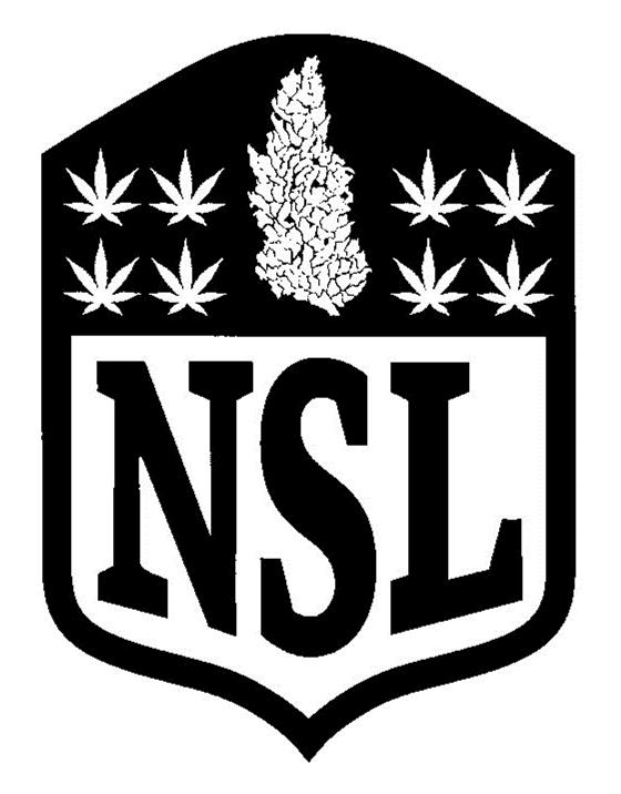 Trademark Logo NSL