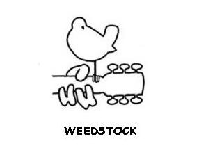  WEEDSTOCK