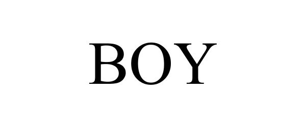Trademark Logo BOY