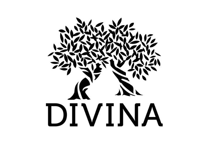 Trademark Logo DIVINA