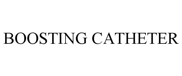 Trademark Logo BOOSTING CATHETER