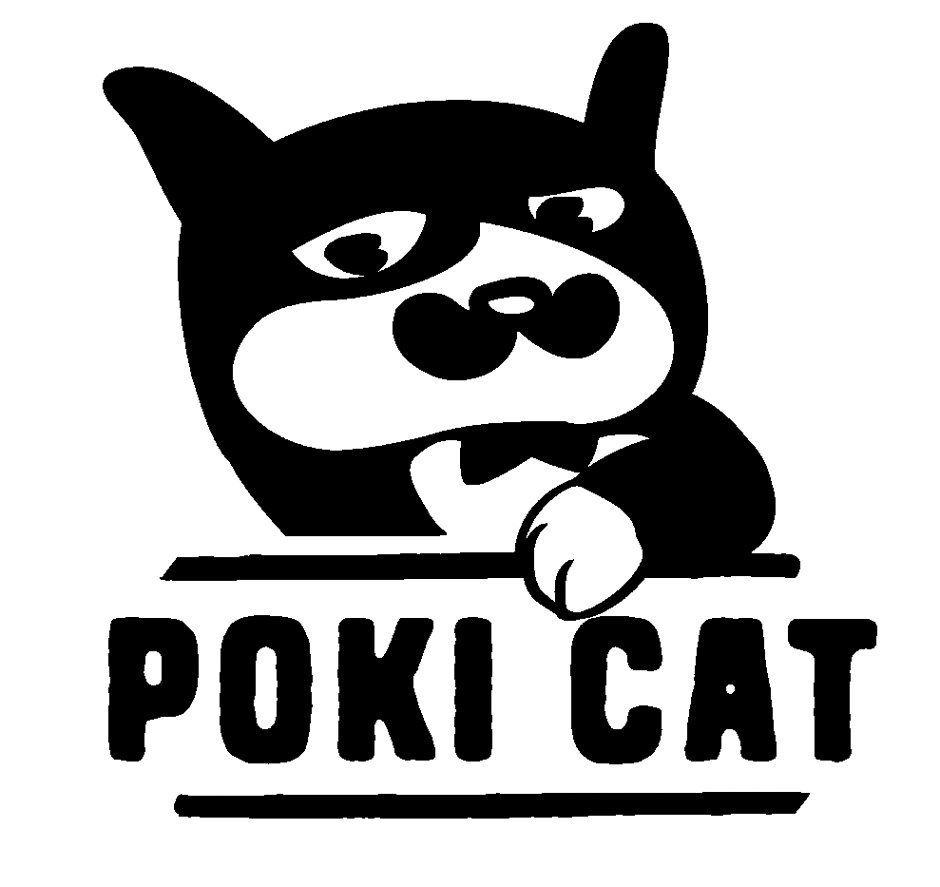  POKI CAT