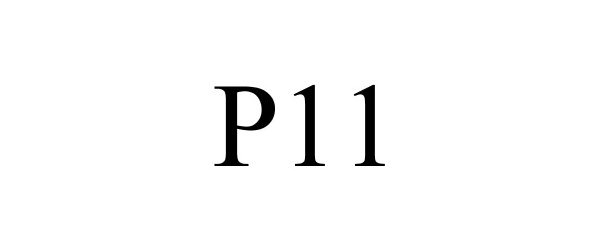  P11