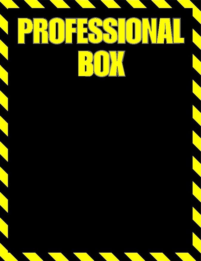  PROFESSIONAL BOX
