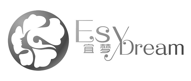  ESYDREAM