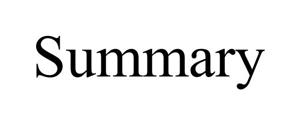 Trademark Logo SUMMARY