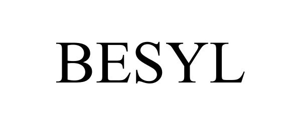  BESYL