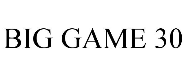 Trademark Logo BIG GAME 30