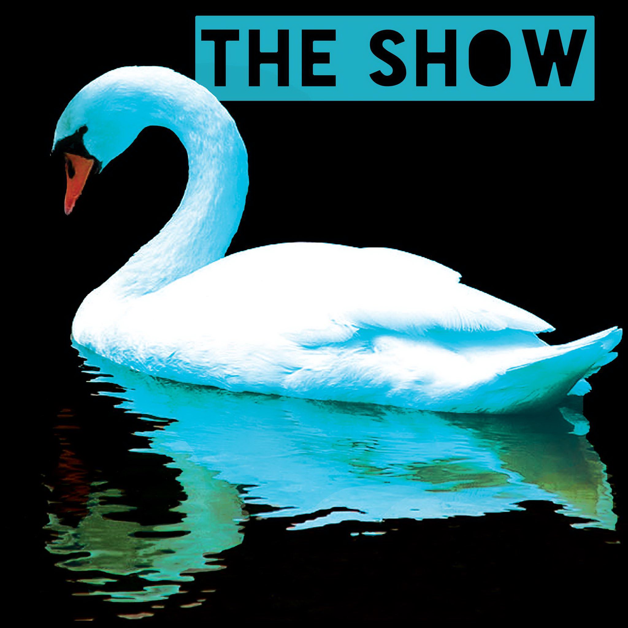 THE SHOW