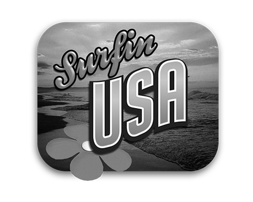  SURFIN' USA