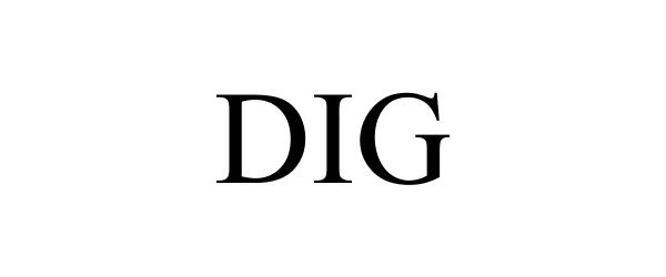 Trademark Logo DIG