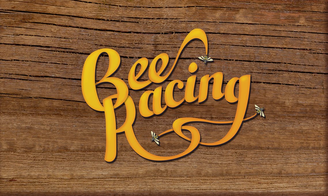  BEE RACING
