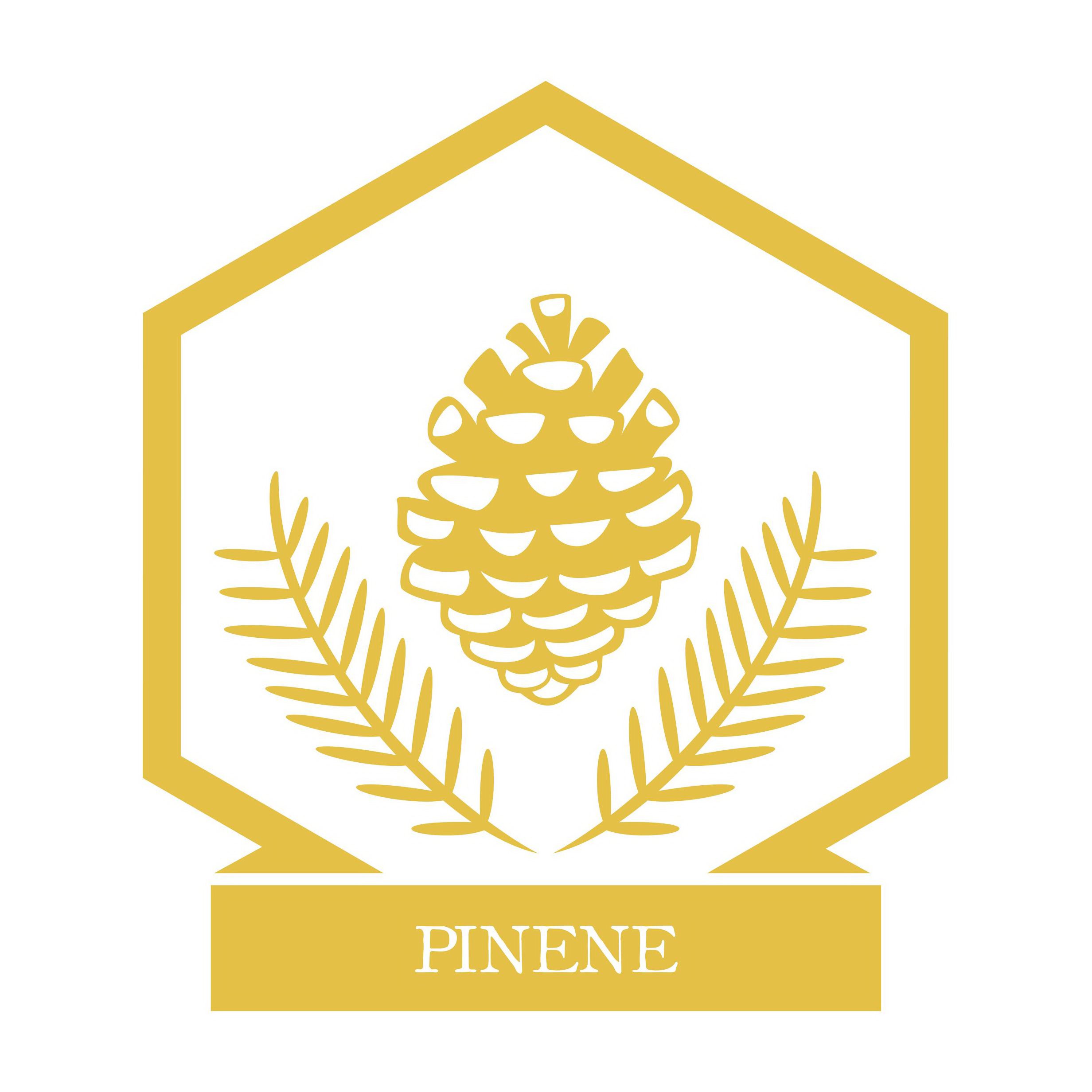 Trademark Logo PINENE
