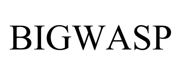 Trademark Logo BIGWASP