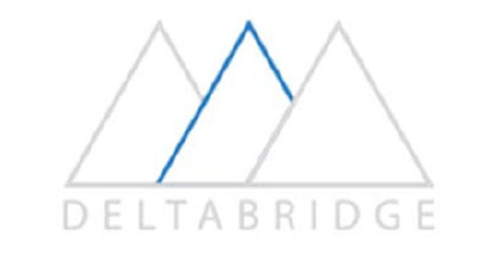  DELTA BRIDGE