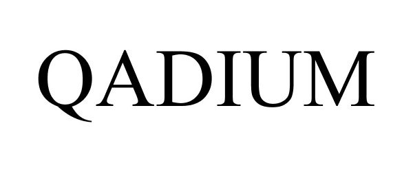 Trademark Logo QADIUM