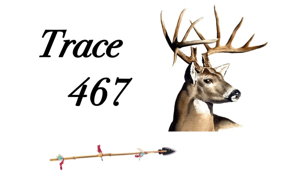 Trademark Logo TRACE 467