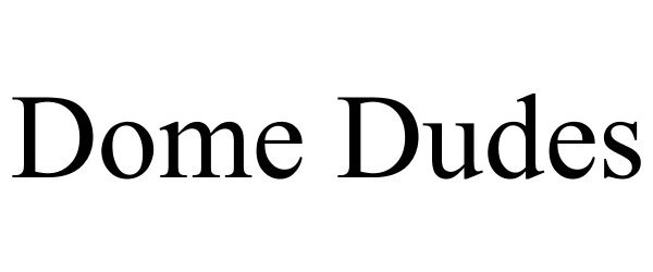Trademark Logo DOME DUDES