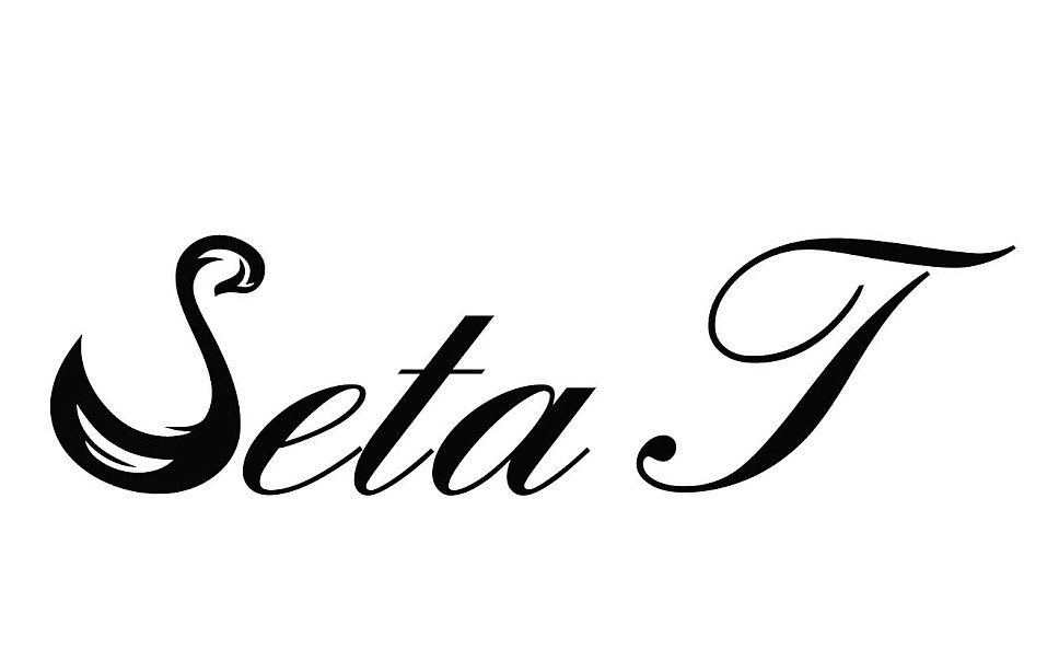 Trademark Logo SETA T