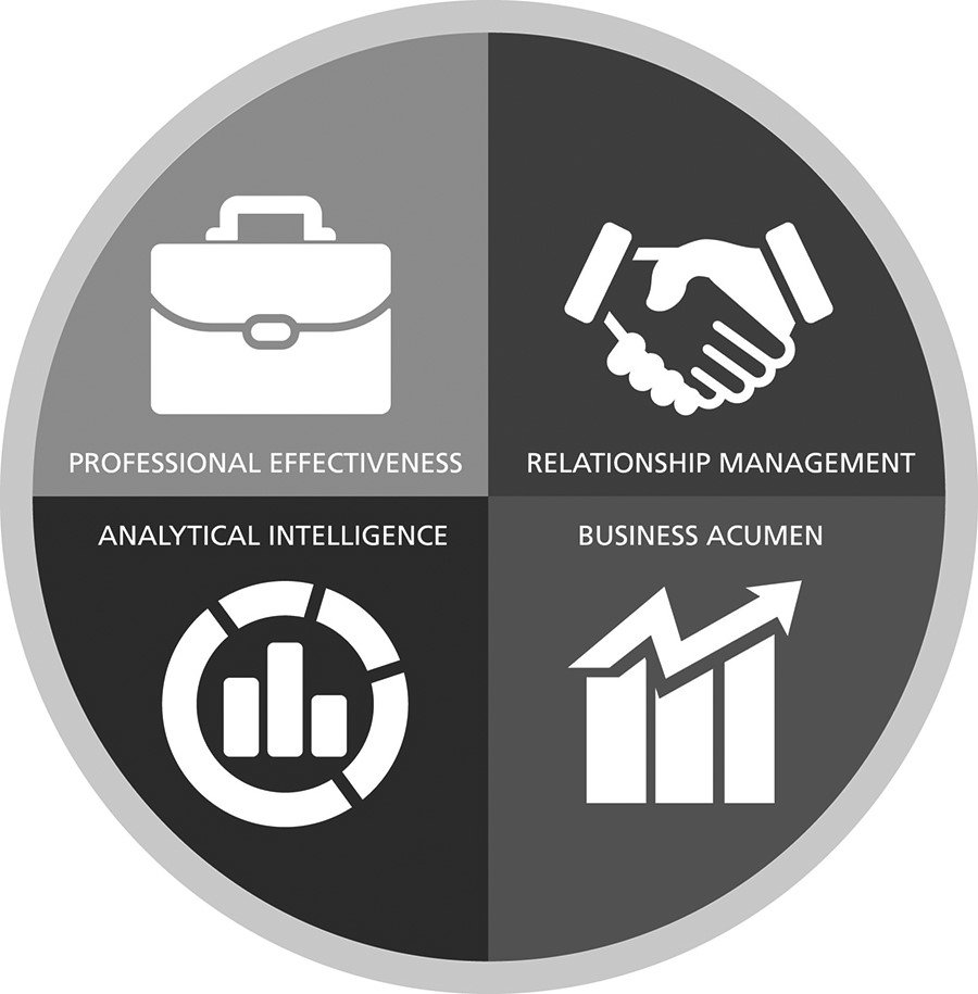  PROFESSIONAL EFFECTIVENESS RELATIONSHIPMANAGEMENT ANALYTICAL INTELLIGENCE BUSINESS ACUMEN