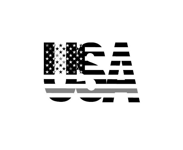 Trademark Logo USA